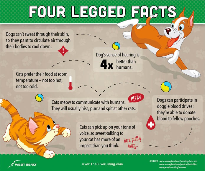 did-you-know-pet-fun-facts