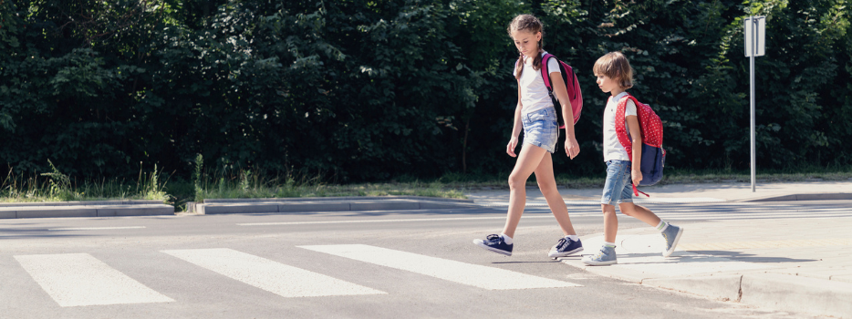 The Road to Safety Practical Tips for Pedestrians and Drivers blog image