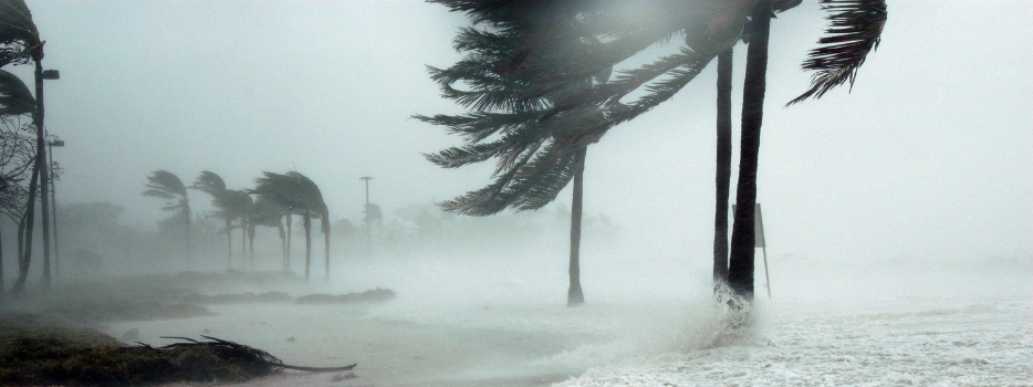 Weathering the storm Essential hurricane information and safety tips - blog image